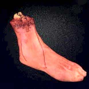 Happyland Cadılar Bayramı Halloween 1 Adet Kanlı Kesik Ayak Silikon