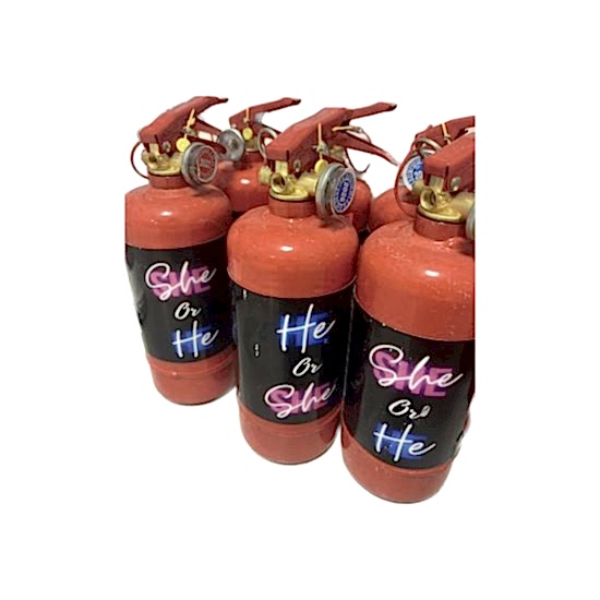 Happyland Pembe Cinsiyet Belirleme Partisi Cinsiyet Belirleme Tüpü Pembe Renk