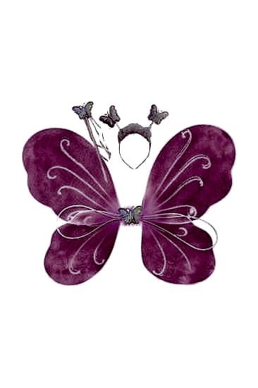 Happyland Pembe Renk Kelebek Kanat Set 50 Cm Kanat Asa Taç 3 Lü Set