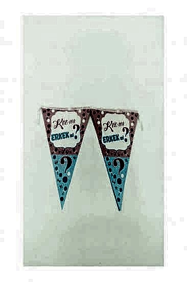 Happyland Cinsiyet Partisi Kız Mı? Erkek Mi? Üçgen Flama Bayrak