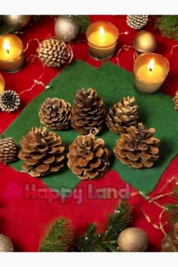 Yılbaşı Ağacı Süsü  Gold Yaldızlı Kozalak Süs 6 cm 6 Adet Kozalak