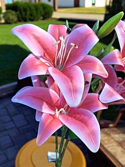 Happyland Yapay Çiçek Lilyum Demeti Pembe 9 lu 50 cm