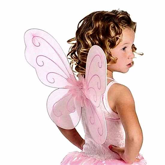 Happyland Pembe Kelebek Kanadı Asa Ve Taç Set 50 Cm