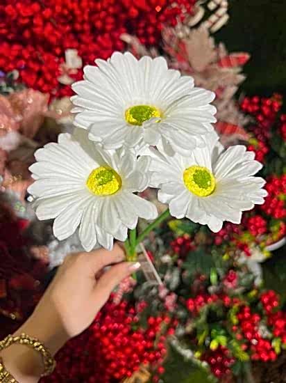 Happyland Yapay Çiçek Garbera Islak Papatya BEYAZ Renk 3 Adet HPY-26216