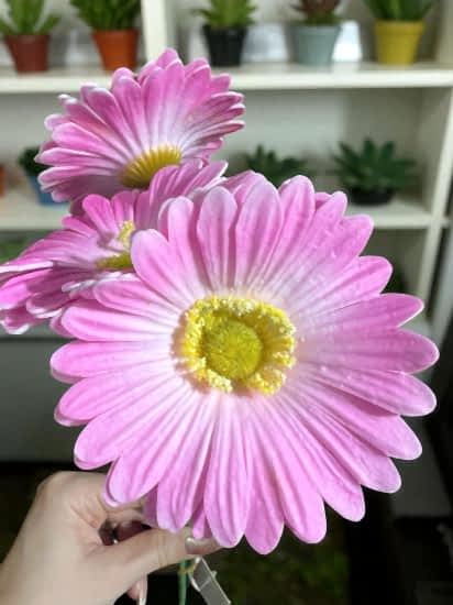 Happyland Yapay Çiçek Garbera Islak Papatya Pembe Renk 3 Adet HPY-26216