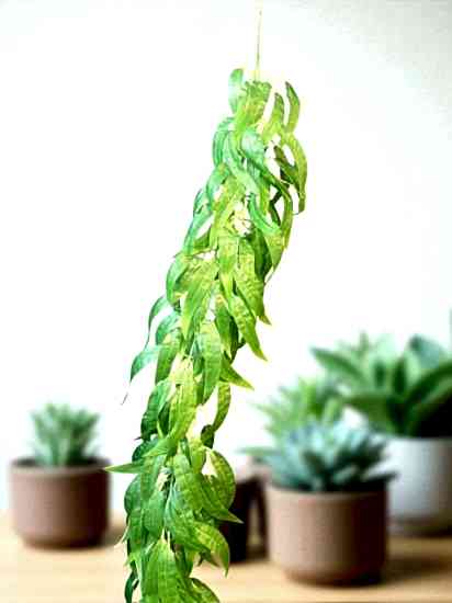 Happyland Yapay Bitki Çiçek Sarkıt Sarmaşık Dekor Yapraklı Çiçek (185 CM) HPY-26168