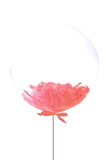 24 inch Kırmızı Tüylü Şeffaf Balon