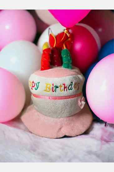 Happyland Doğum Günü Pastası Parti Şapkası Mumlu Peluş Şapka Doğum Günü Şapkası