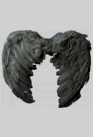 Happyland  Beyaz Renkli  Büyük  Boy 60 cm Melek Kanadı cm Kostüm Aksesuar Melek Kanadı