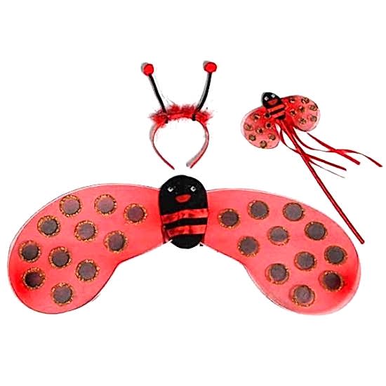 Happyland Kırmızı Siyah Benekli Uğur Böceği Kanat Set