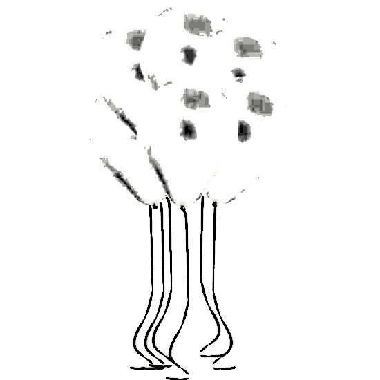 Happyland 10 Adet Beyaz Metalik Balon