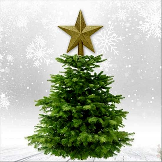 Happyland Yılbaşı Ağacı Simli Tepelik Yıldız, 15 cm - Altın