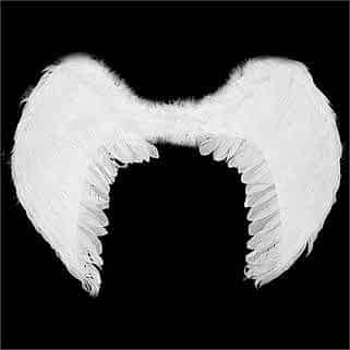 Küçük Boy Beyaz Melek Kanadı