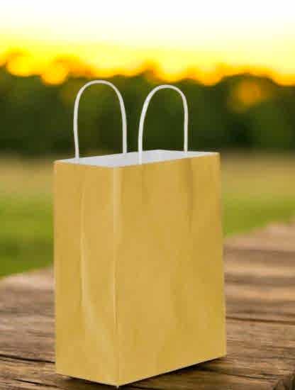 Happyland Gold Karton Çanta Büyük Boy Büküm Saplı 25 Adet 31*12*41 cm