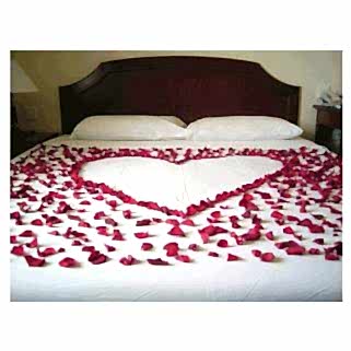 Kırmızı 500 Gül Yaprağı 4 Adet Mum Sevgililer Gününe Özel