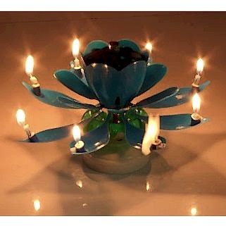 Çocuk Oyuncakları & PartiParti MalzemeleriBalonParti Aksesuarı