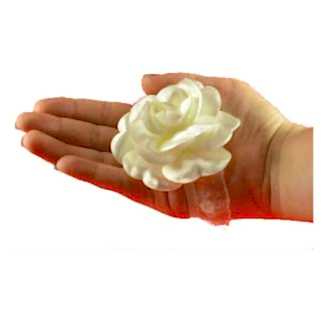 Kına Gecesi El Gülü 12’li