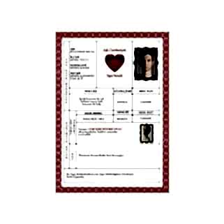 Aşk Cumhuriyeti Tapusu