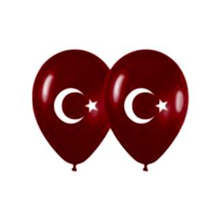 Çocuk Oyuncakları & PartiParti MalzemeleriBalonParti Aksesuarı