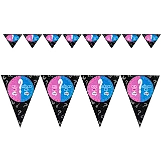 Cinsiyet Partisi Üçgen Bayrak Süs