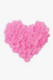 Pembe Gül Yaprakları