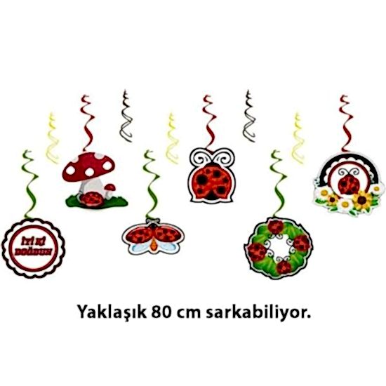 Uğur Böceği Konsepti Asma Süs Seti