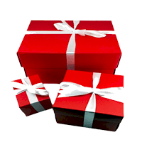 Hediye Kutuları & Paketleri